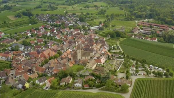 Pemandangan Udara Desa Burkheim Kaiserstuhl Jerman Pada Hari Yang Cerah — Stok Video