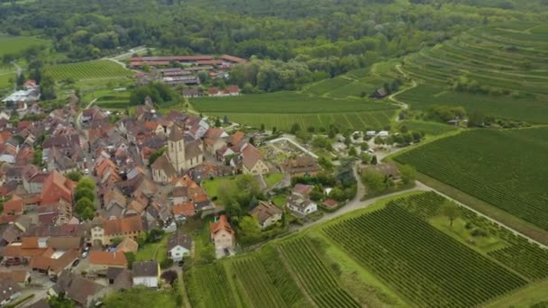 Widok Lotu Ptaka Wieś Burkheim Kaiserstuhl Niemczech Słoneczny Dzień Lata — Wideo stockowe