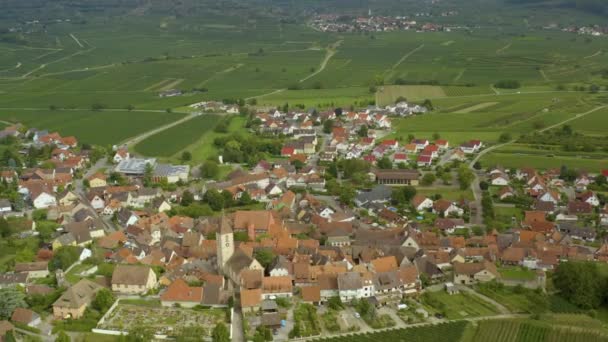 Veduta Aerea Del Villaggio Burkheim Kaiserstuhl Germania Una Giornata Sole — Video Stock