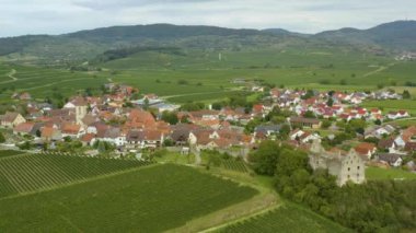 Yazın güneşli bir günde Almanya 'da Burkheim am Kaiserstuhl köyünün hava manzarası.