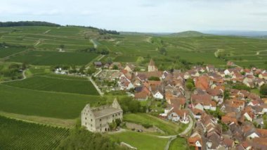 Yazın güneşli bir günde Almanya 'da Burkheim am Kaiserstuhl köyünün hava manzarası.