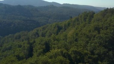Almanya 'da Schloss Buergeln Sarayı' nın etrafındaki hava manzarası Yazın güneşli bir sabahında Kara Orman 'da. 
