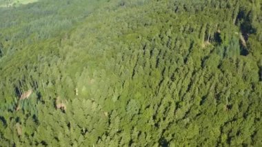 Almanya 'da Schloss Buergeln Sarayı' nın havadan görünüşü Yazın güneşli bir sabahında, Kara Orman 'da. 
