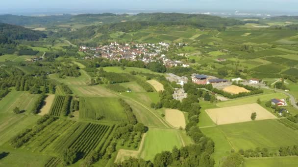 Veduta Aerea Dei Campi Intorno Villaggi Obereggenen Niedereggenen Germania Una — Video Stock