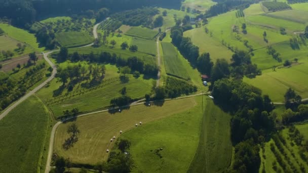 Luftaufnahme Von Feldern Rund Die Dörfer Obereggenen Und Niedereggenen Einem — Stockvideo