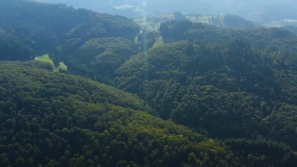 Luftudsigt Rundt Paladset Schloss Buergeln Tyskland Den Sorte Skov Solrig – Stock-video