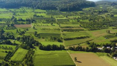Almanya 'da Obereggenen ve Niedereggenen köylerinin etrafındaki tarlaların havadan görünüşü yazın güneşli bir sabahında Kara Orman' da.