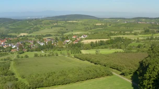 Almanya Obereggenen Niedereggenen Köylerinin Etrafındaki Tarlaların Havadan Görünüşü Yazın Güneşli — Stok video