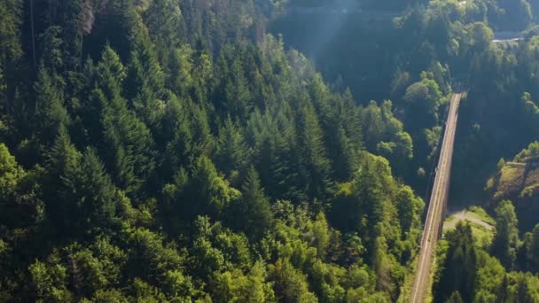 Flygfoto Runt Hoellental Tyskland Den Svarta Skogen Solig Dag Sommaren — Stockvideo