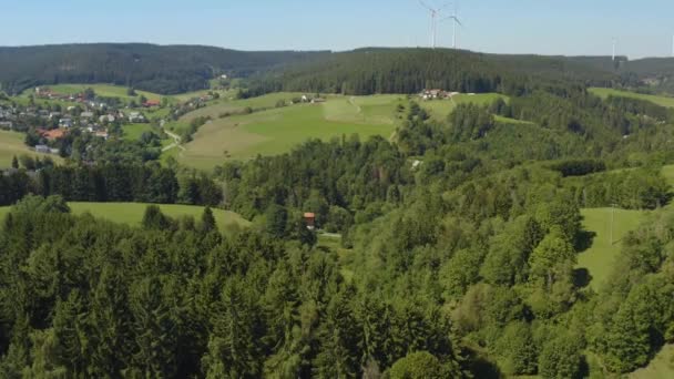 夏天阳光明媚的日子 德国三特格奥尔根村周围的黑森林里的空中风景 — 图库视频影像