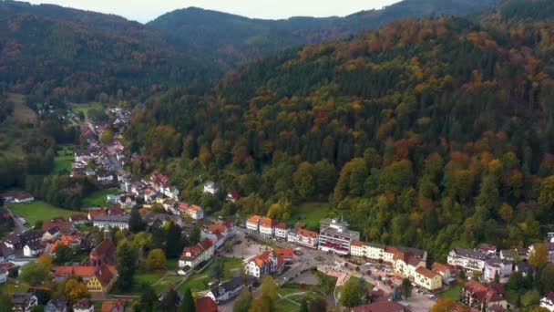 Widok Lotu Ptaka Miasto Bad Herrenalb Niemczech Słoneczny Dzień Jesienią — Wideo stockowe