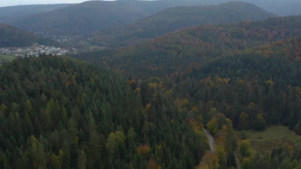 秋の木々 丘や山の空中ビュー 曇りの日にドイツの黒い森の中に落ちる — ストック動画