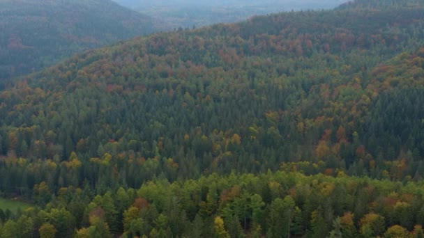 Vista Aérea Árboles Colinas Montañas Otoño Caída Bosque Negro Alemania — Vídeos de Stock