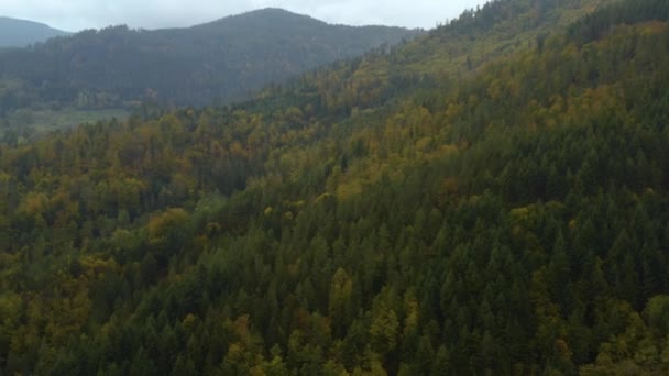 Vista Aérea Árvores Colinas Montanhas Outono Cair Floresta Negra Alemanha — Vídeo de Stock