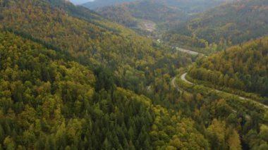 Sonbaharda ağaçların, tepelerin ve dağların havadan görünüşü bulutlu bir günde Almanya 'daki kara ormana düşer.. 