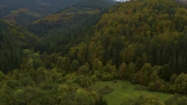 Sonbaharda ağaçların, tepelerin ve dağların havadan görünüşü bulutlu bir günde Almanya 'daki kara ormana düşer.. 