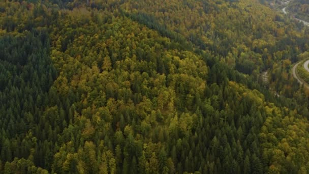 Flygfoto Över Träd Kullar Och Berg Hösten Faller Den Svarta — Stockvideo