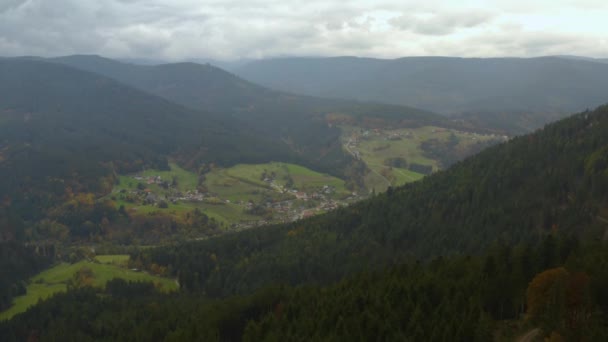 秋の木々 丘や山の空中ビュー 曇りの日にドイツの黒い森の中に落ちる — ストック動画