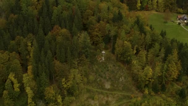 Vista Aérea Alrededor Del Pueblo Bad Rippoldsau Bosque Negro Alemania — Vídeos de Stock