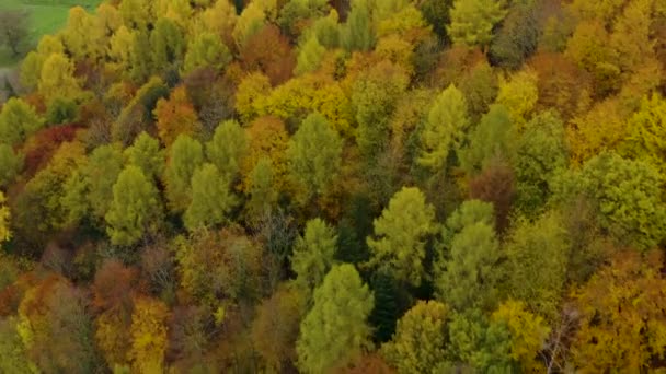 가을의 구름낀 마을과 주위를 공중에서 바라본 — 비디오