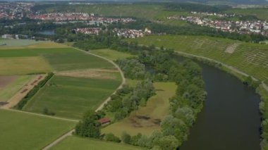Almanya 'da Besigheim yakınlarındaki üzüm bağları. Baharın güneşli bir gününde.