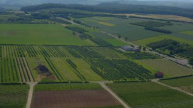 Almanya 'da Mundelsheim yakınlarında bulunan üzüm bağları. Baharın güneşli bir gününde.