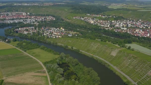 Wijngaarden Dicht Bij Besigheim Duitsland Een Zonnige Dag Het Voorjaar — Stockvideo