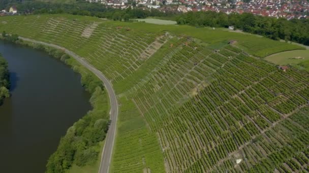 Weinberge Bei Besigheim Deutschland Einem Sonnigen Frühlingstag — Stockvideo