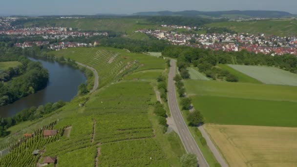 Wijngaarden Dicht Bij Besigheim Duitsland Een Zonnige Dag Het Voorjaar — Stockvideo