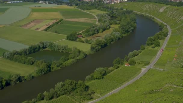 Viñedos Cerca Besigheim Alemania Día Soleado Primavera — Vídeo de stock