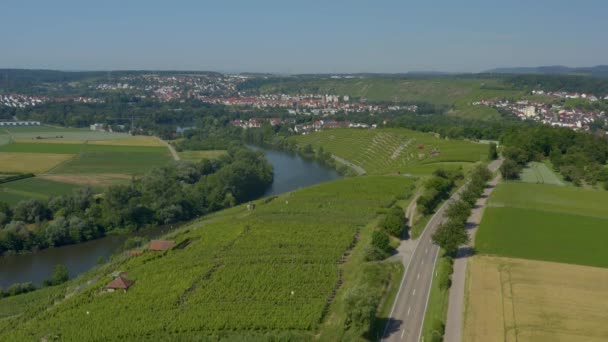 Viñedos Cerca Besigheim Alemania Día Soleado Primavera — Vídeo de stock