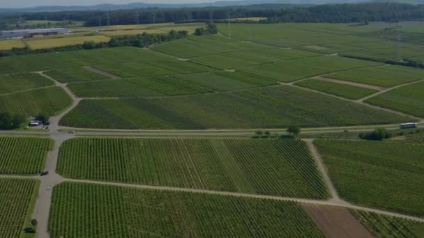 Weinberge Bei Besigheim Deutschland Einem Sonnigen Frühlingstag — Stockvideo