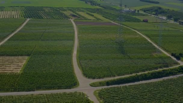 Luchtfoto Van Wijngaarden Buurt Van Mundelsheim Duitsland Een Zonnige Dag — Stockvideo