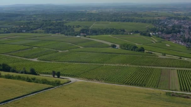 Aerial Vineyards Perto Mundelsheim Alemanha Num Dia Ensolarado Primavera — Vídeo de Stock