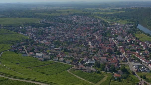 Aerial Vineyards Perto Mundelsheim Alemanha Num Dia Ensolarado Primavera — Vídeo de Stock