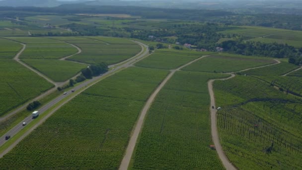 Luchtfoto Van Wijngaarden Buurt Van Mundelsheim Duitsland Een Zonnige Dag — Stockvideo