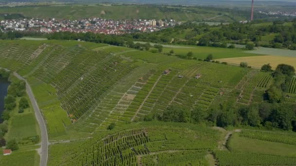 Aerial Vineyards Close Mundelsheim Germany Sunny Day Spring — Stock Video