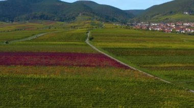 Sonbaharda Almanya 'da Rhineland-Palatinate üzüm bağları etrafındaki hava manzarası.