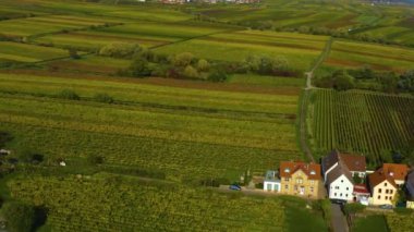 Sonbaharda Almanya 'da Rhineland-Palatinate üzüm bağları etrafındaki hava manzarası.