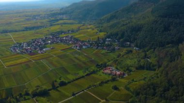 Sonbaharda Almanya 'da Rhineland-Palatinate üzüm bağları etrafındaki hava manzarası.