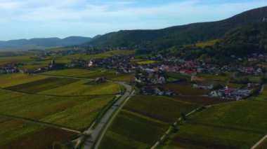 Sonbaharda Almanya 'da Rhineland-Palatinate üzüm bağları etrafındaki hava manzarası.