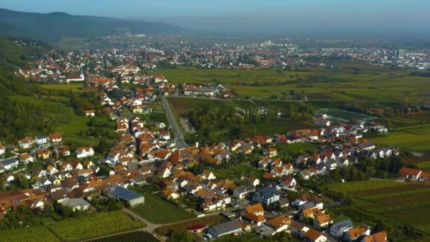 诺伊施塔特市和城堡的空中景观 以及费尔兹葡萄园周围的哈姆巴赫城堡 — 图库视频影像