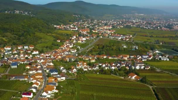 Aerial View City Neustadt Castle Palace Hambacher Schloss Pfalz Vineyards — Stock Video