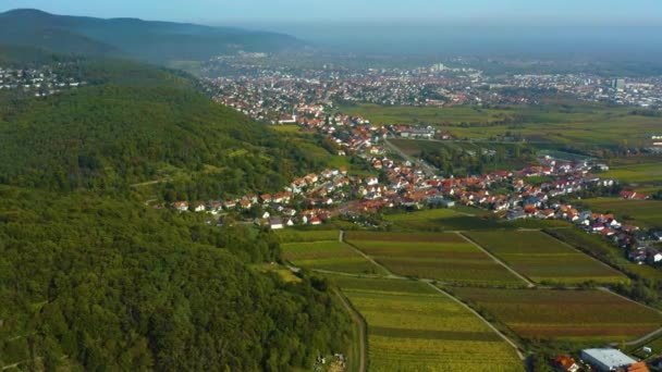 Flygfoto Över Staden Neustadt Och Slottet Palats Hambacher Schloss Pfalz — Stockvideo