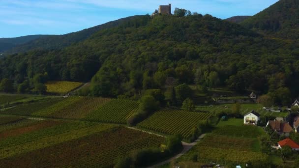 Flygfoto Över Staden Neustadt Och Slottet Palats Hambacher Schloss Pfalz — Stockvideo