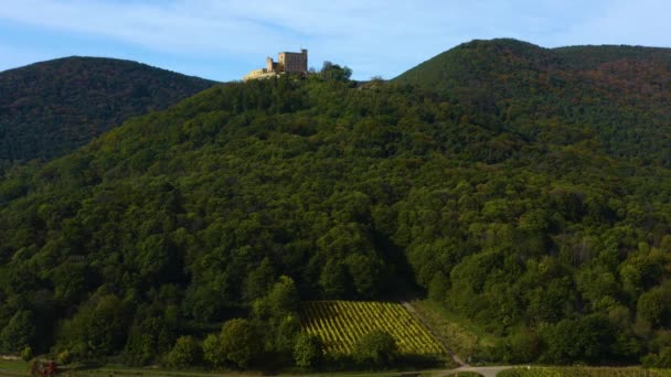 Luchtfoto Van Stad Neustadt Het Kasteel Paleis Hambacher Schloss Pfalz — Stockvideo