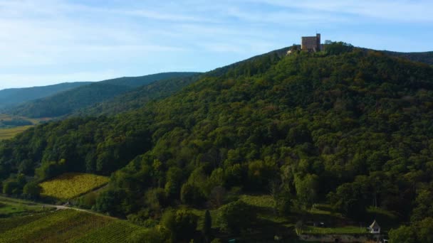 Flygfoto Över Staden Neustadt Och Slottet Palats Hambacher Schloss Pfalz — Stockvideo