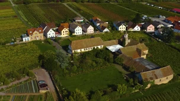 Luchtfoto Rond Wijngaarden Rijnland Palts Duitsland Herfst — Stockvideo