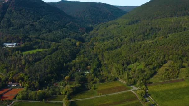 Flygfoto Runt Vingårdar Rheinland Pfalz Tyskland Hösten — Stockvideo