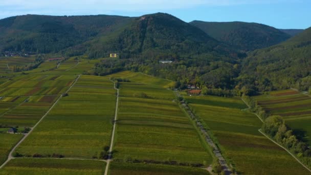 Luftaufnahme Rund Die Weinberge Rheinland Pfalz Herbst — Stockvideo